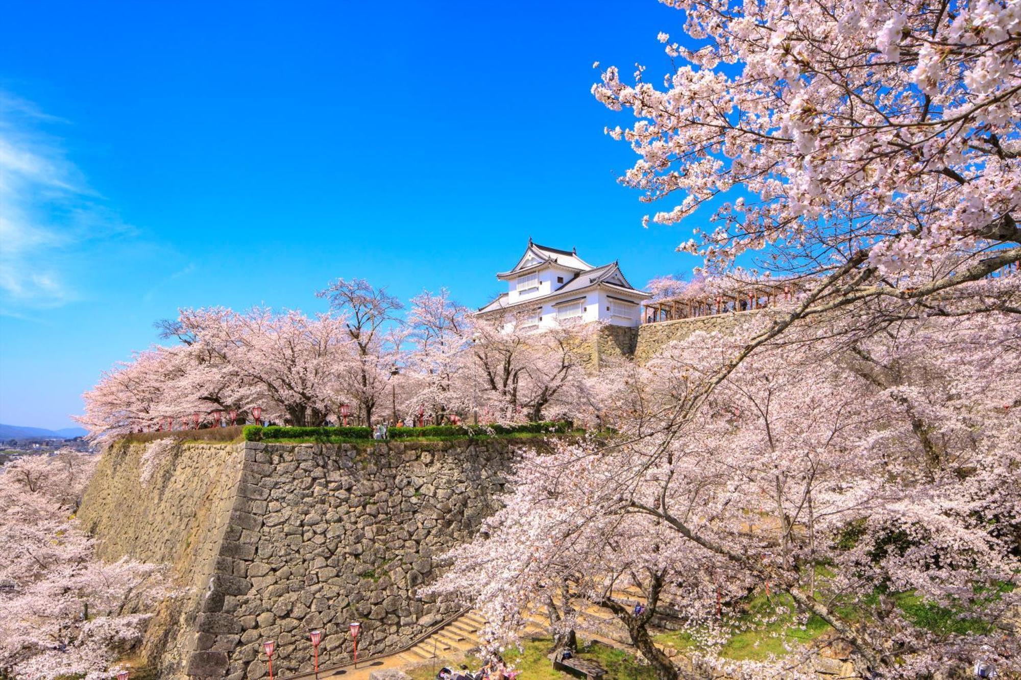 Smile Hotel Okayama Ngoại thất bức ảnh